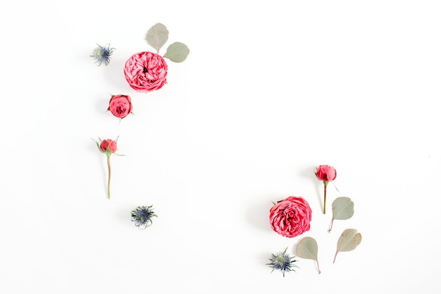 Photo frame made of red rose flower buds, eucalyptus branches isolated on white