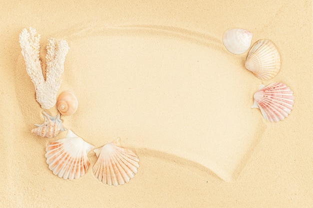 Frame made of seashells on sand. Top view, copy space