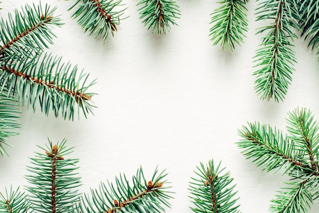 Photo frame made of spruce branches on white background. top view copy space.