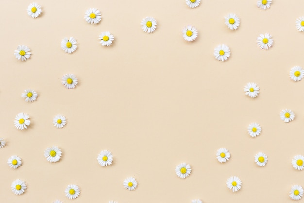 Frame made of various chamomile flowers on a beige background. Flat lay, top view, copy space. Daisy in circle shape pattern. Flat lay hello spring and summer time with chamomile flowers