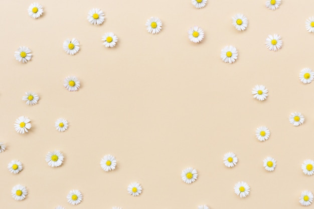 Frame made of various chamomile flowers on a beige background.
flat lay, top view, copy space. daisy in circle shape pattern. flat
lay hello spring and summer time with chamomile flowers