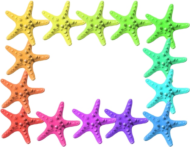 Frame made with colorful starfish