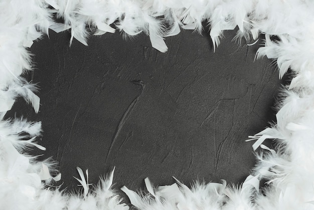 Photo frame made with white feathers