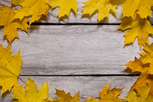 Frame made of yellow leaves on a wooden background