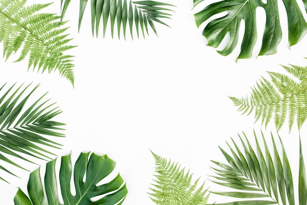 Frame met exotische tropische palmbladeren monstera op witte achtergrond Plat bovenaanzicht