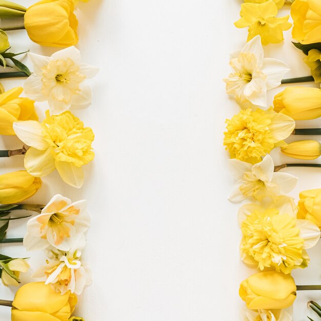 Frame met lege kopie ruimte gemaakt van gele narcissen en tulp bloemen op wit