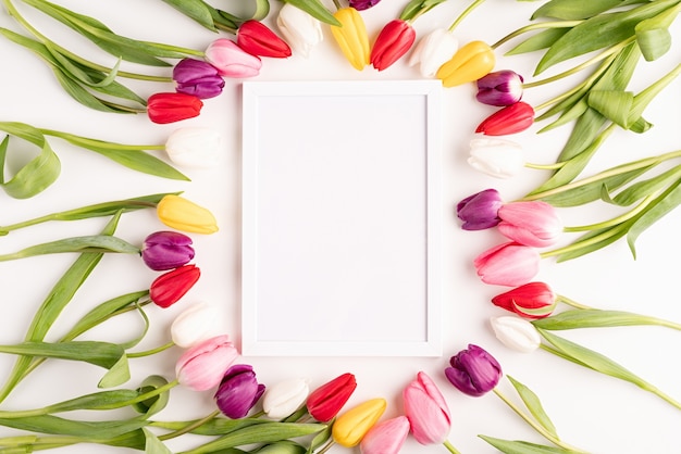 Frame met prachtige kleurrijke tulpen op witte achtergrond.