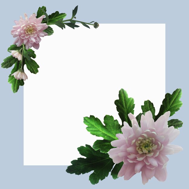 Foto frame met roze bloemen met ruimte voor tekst