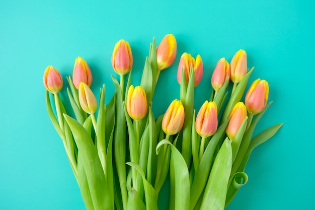 Frame met verse geel-rode tulpen op een munt achtergrond. Concept van internationale Vrouwendag, Moederdag, Pasen