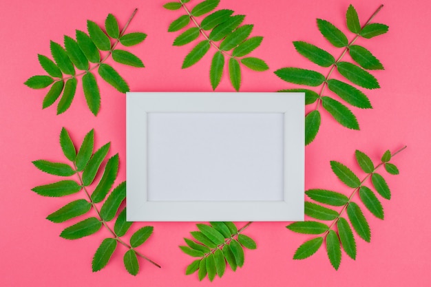 Frame mock up with fresh green leaves