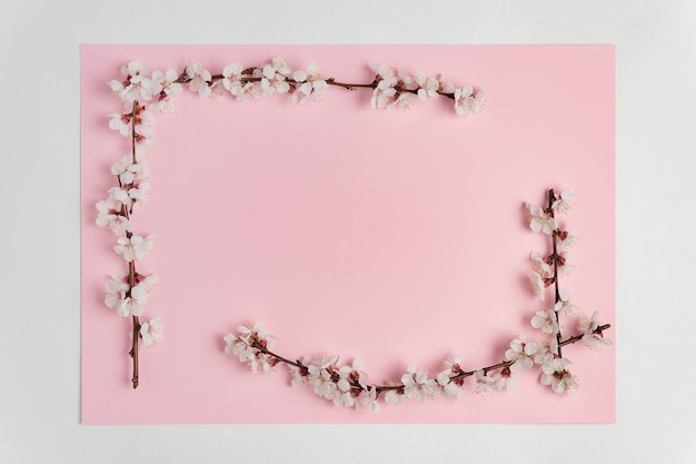 사진 분홍색 배경에 나뭇 가지에 흰색 봄 꽃의 프레임. 주형. 배경. 목업.