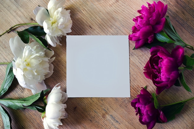 Frame of peony white and lilac colors on a wooden board with blank white greeting card. Flowers texture. Flat lay, top view.