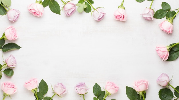 Frame of pink roses on gray background. Flat lay, top view