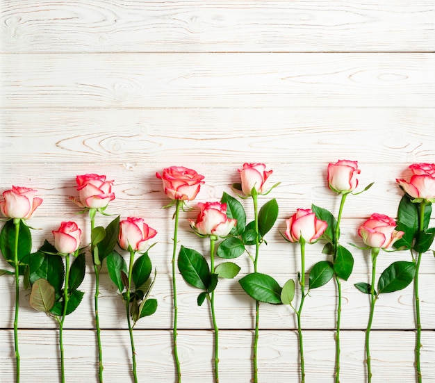 Frame of pink roses on white wooden surface