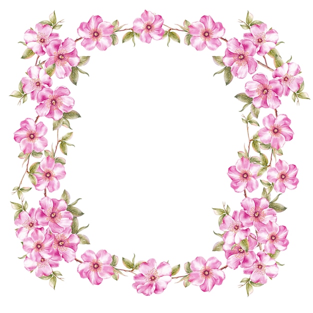 Frame of pink sakura flowers.