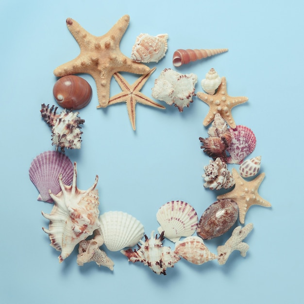 Frame of Plenty different seashells on a blue background. Seaside themed backdrop for travel agency template advertising or postcard. Top view vintage toned still life.