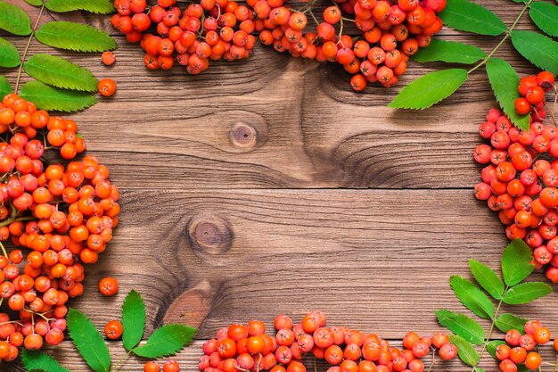 Frame of red berries and leaves of rowan on wood