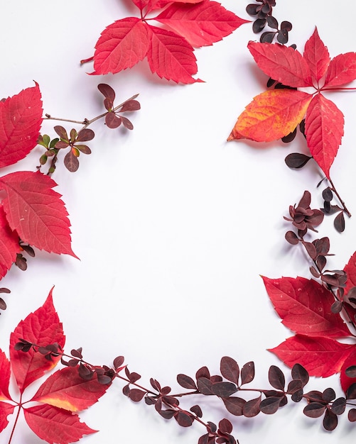 Foto cornice di foglie di autunno rosse e arancioni su bianco