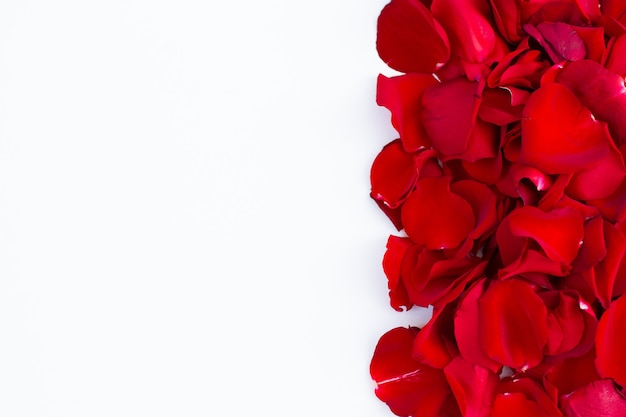 Frame of Red rose petals on white background.