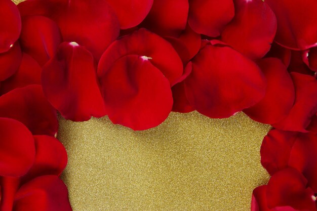 Frame of rose petals on golden background close-up