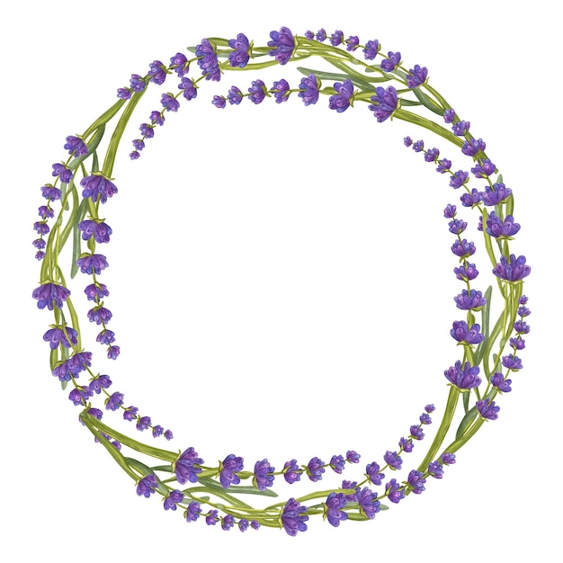 Рамка круглая связка цветов лаванды Цветочный акварельный букет Эко натуральные травы Акварельная иллюстрация на белом фоне Для создания приглашений, поздравительных и свадебных открыток