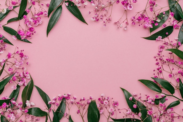 Frame of Ruscus leaves and sprigs of pink gypsophila