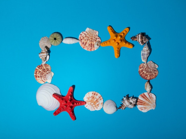 A frame of sea shells on a blue background