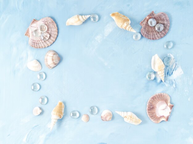   frame of seashell on blue stone background, scallop shell, copy. Summer  