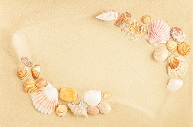 Frame of seashells on sand. Flat lay, copy space.