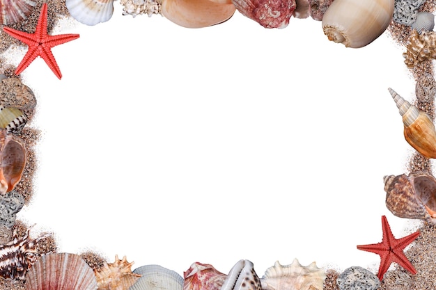 Photo frame of seashells