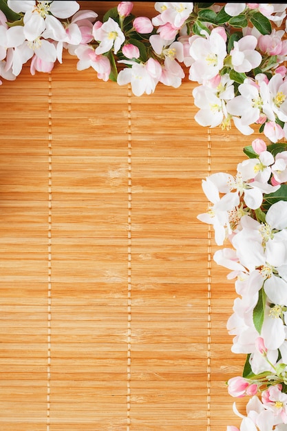 Photo frame of spring flowers of sakura on bamboo