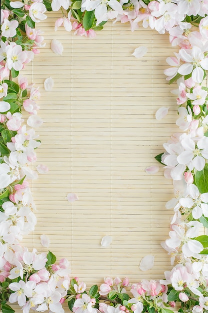Frame of spring flowers of sakura on bamboo
