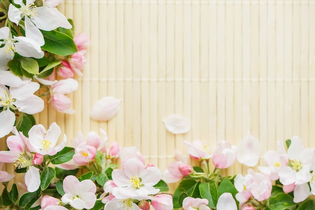 Frame of spring flowers of sakura on bamboo