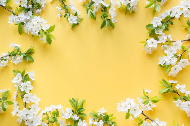 Frame of spring white fruits blossom branches on yellow. Floral. View from above, flat lay. copyspace background