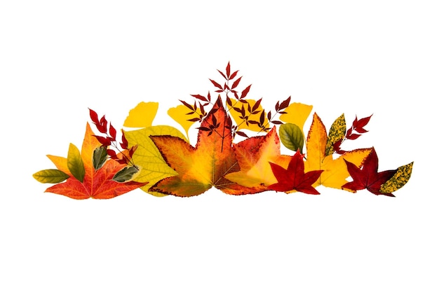 Frame te koop thanksgiving achtergrond herfst ontwerp textuur voor flyer of poster