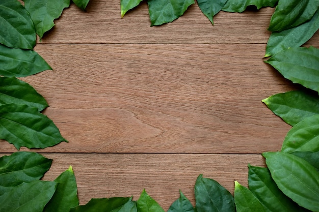 Frame of tropical green leaf border on wooden background.