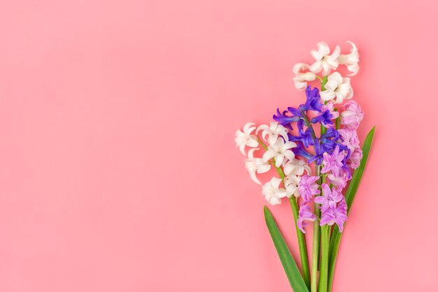 Frame van boeket van Lentebloemen van witte en lila hyacinten op roze achtergrond Bovenaanzicht Plat lag kerstkaart Hallo lente concept