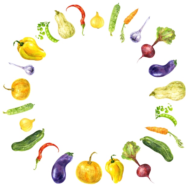 Foto frame van kleurrijke tuin groenten. handgetekende aquarel illustratie