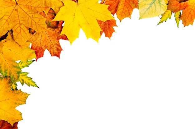 Frame van levendige kleurrijke herfstbladeren natuurlijke seizoensgebonden achtergrond