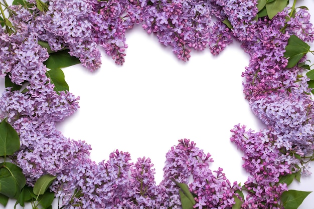 Frame van lila bloemen Een boeket van paarse bloemen op een witte achtergrond