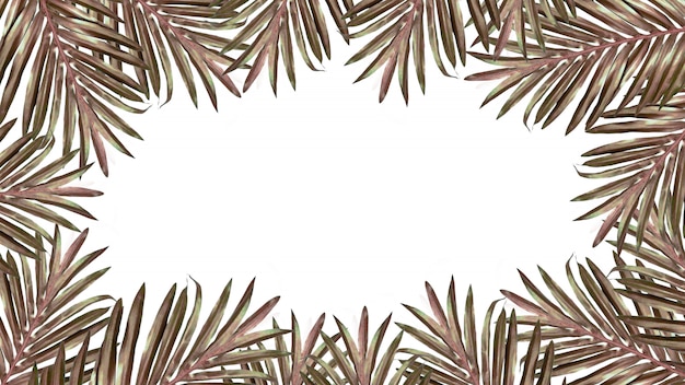 Frame van palmbladen op witte achtergrond. Ruimte voor tekst. Zomervakantie concept