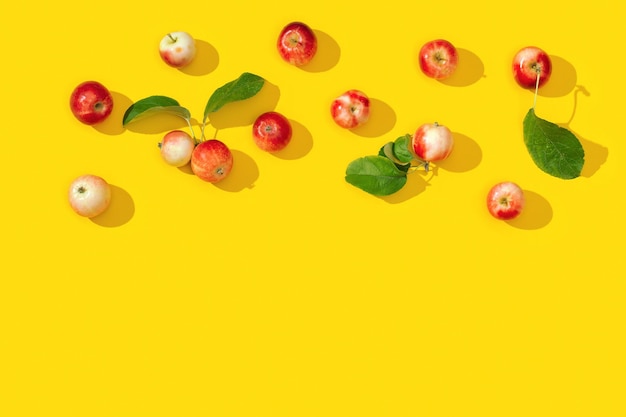Frame van rijpe kleine rode appels en groene bladeren met donkere schaduwen op geel Voedselconcept