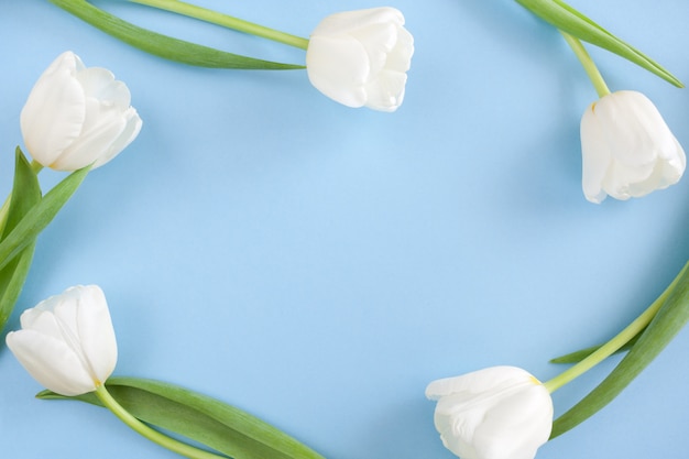 Frame van vijf witte tulpen op blauwe achtergrond met exemplaarruimte.