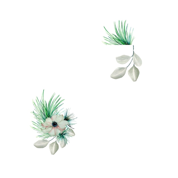 Frame van winterplanten en anemoon aquarel illustratie geïsoleerd op wit