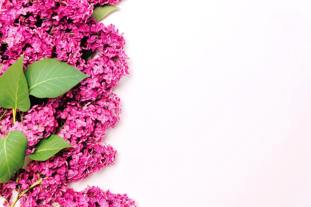 Frame of violet lilac flowers on white background. Flat lay and top view