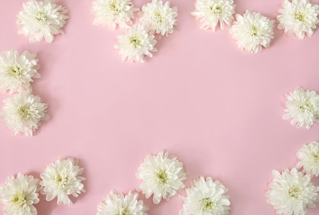 frame of white daisy flowers