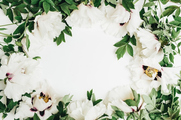 Frame of white peony flowers bouquet on white surface