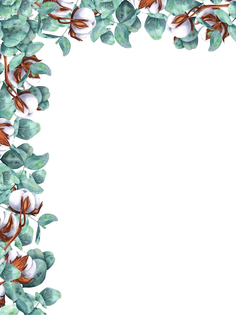 Foto una cornice con rametti di cotone ed eucalipto dipinti ad acquerello ed evidenziati su fondo bianco