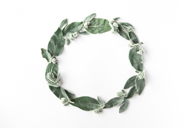 Frame with green branches and leaves isolated over white