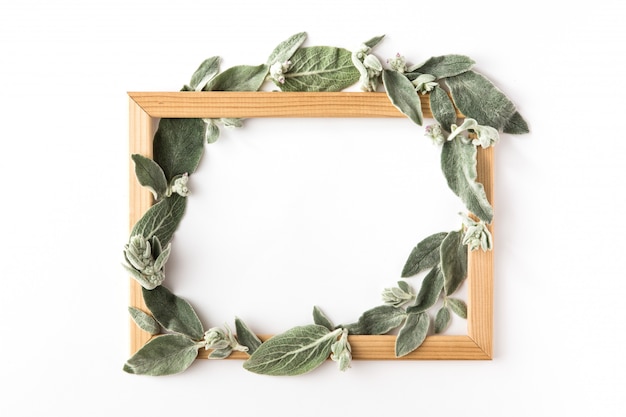 Frame with green branches and leaves